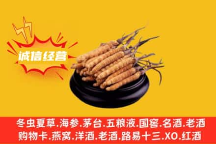 张掖回收冬虫夏草